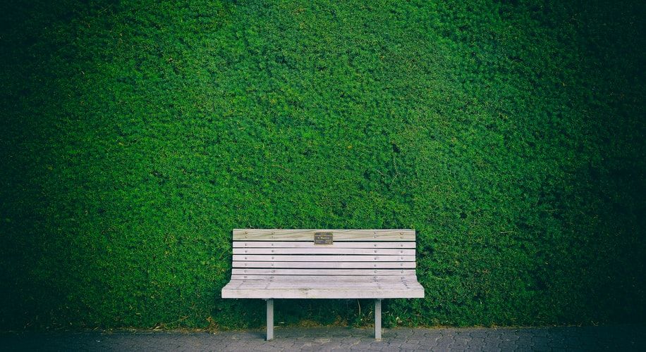 Wooden bench in front of the grass wall
