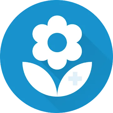 Illustration of a white flower on a blue background