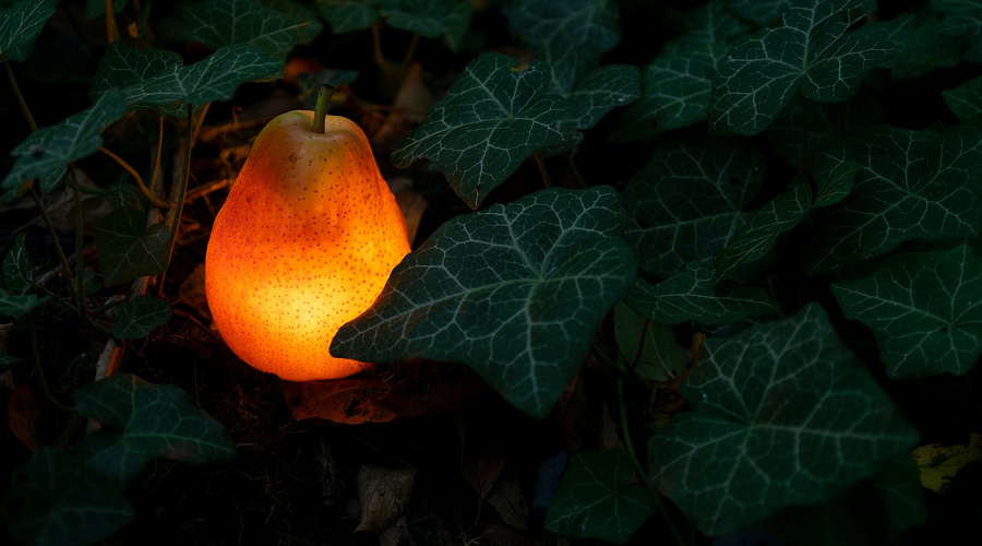 glowing fruit light