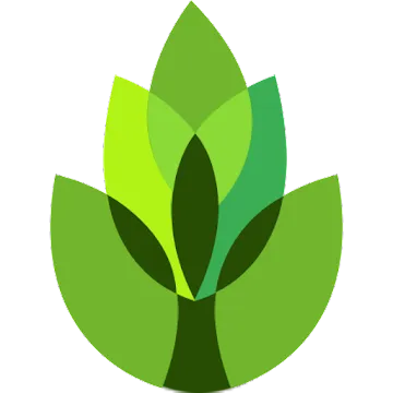Illustration of mulit-shade green leaf on white background