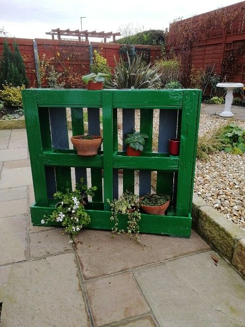 Vertical garden made from painted pallet