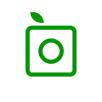Illustration of green quare icon with circle at center and leaf sprouting off left top corner