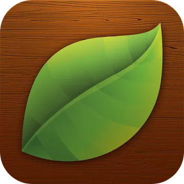 Illustration of green leaf on brown background