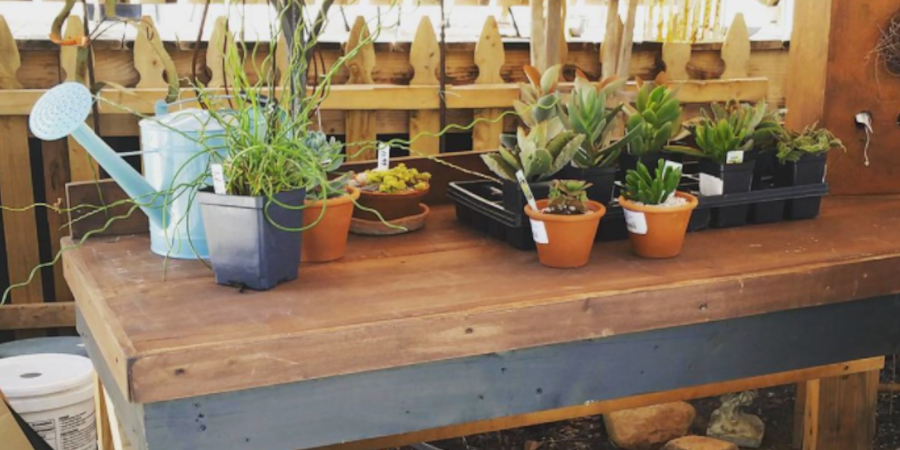 Potting Bench from Wooden Pallets