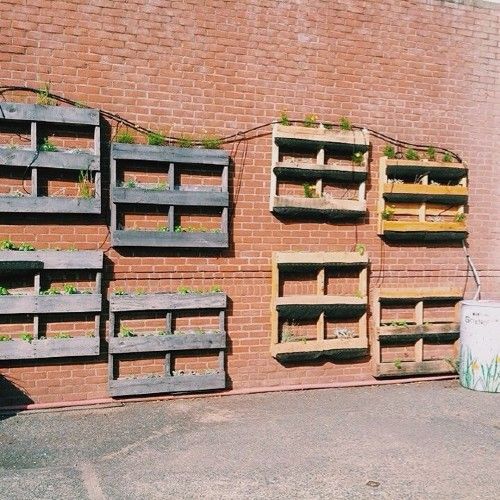 Multiple pallets on a wall, filled with plants
