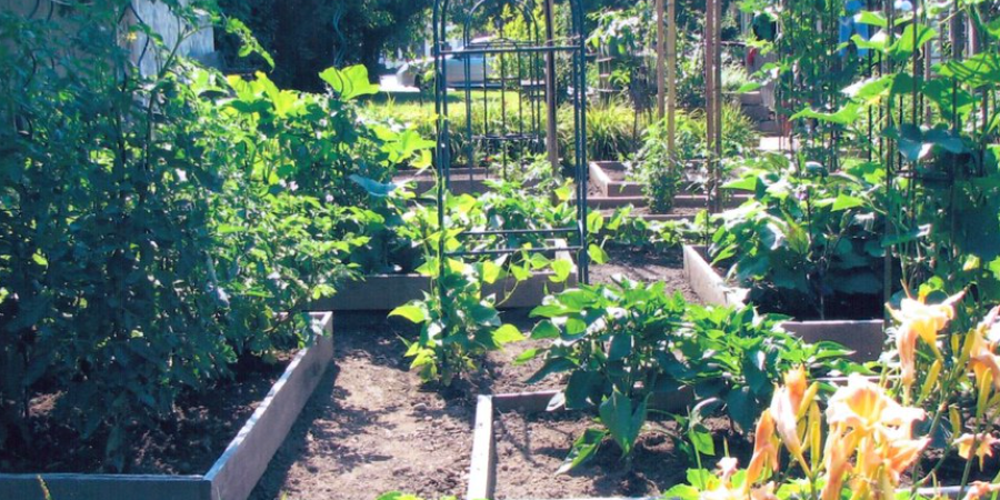 Tall Front Yard Vegetable Garden