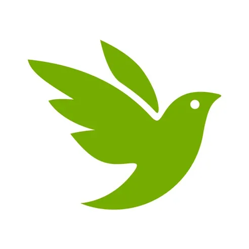 illustration - green bird on white background