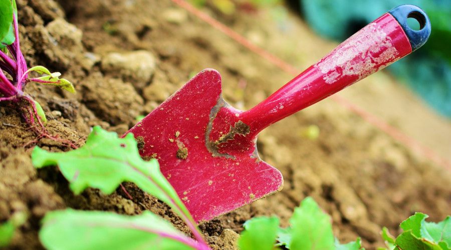 red trowel in the dirt