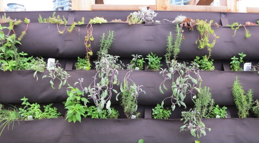 vertical garden in a series of hanging canvas bags