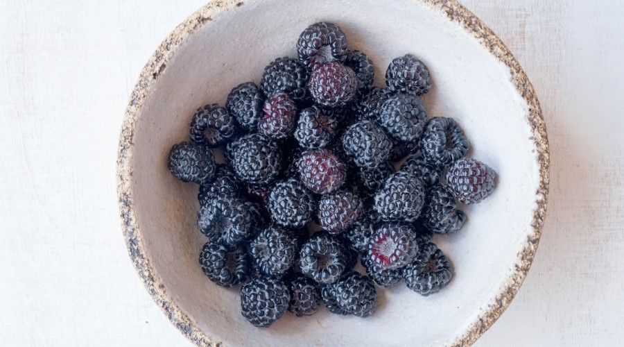 bowl of ripe blackberries