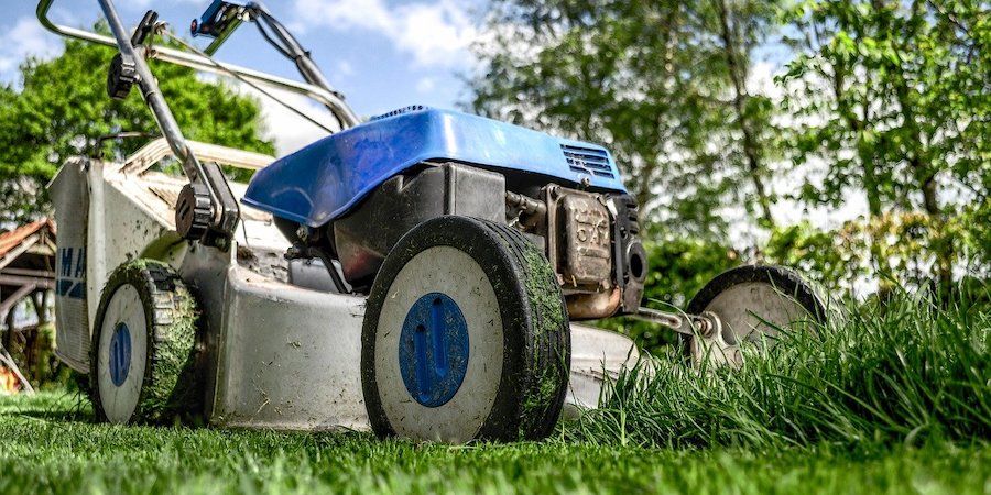 Blue mower cutting grass 