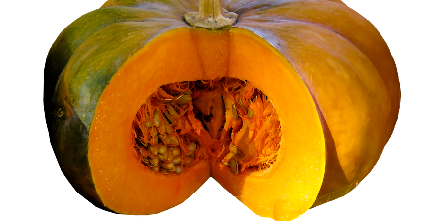 Cut open pumpkin 