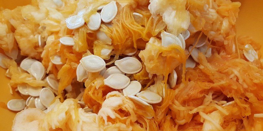 Pumpkin seeds and pulp 