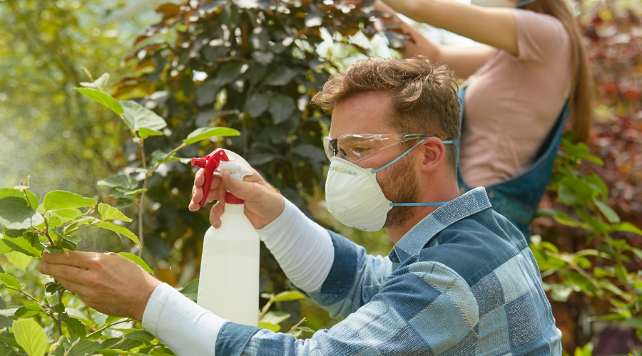 a man spraying fertilizer on his garden