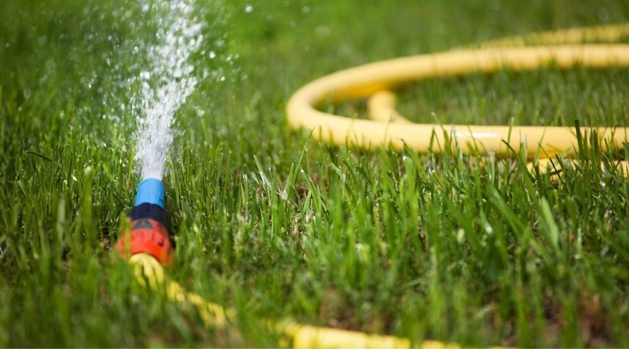 a yellow garden hose laying in the grass, spraying water