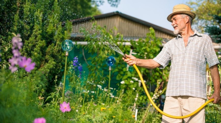 man watering his garden with a garden hose