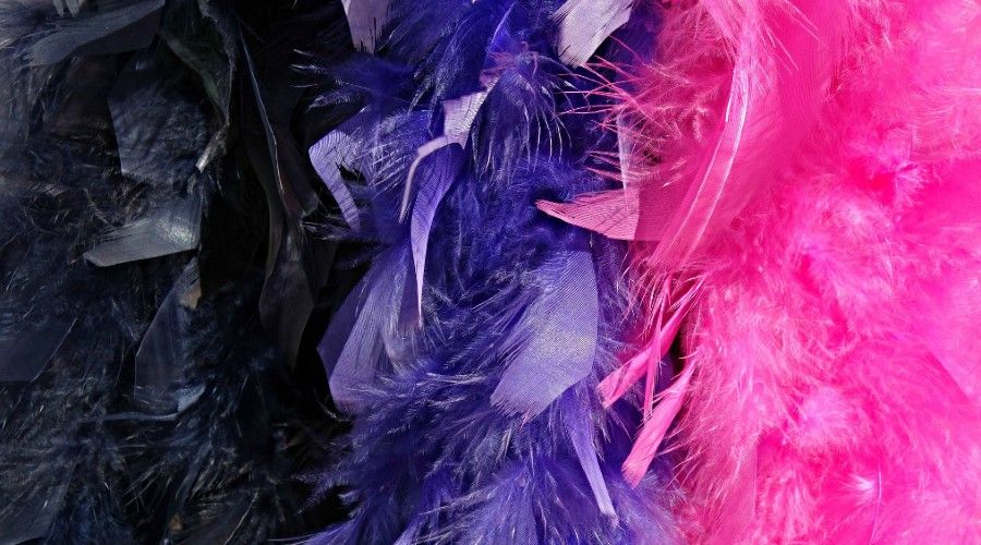 Black, purple, and pink feather boas hanging side by side