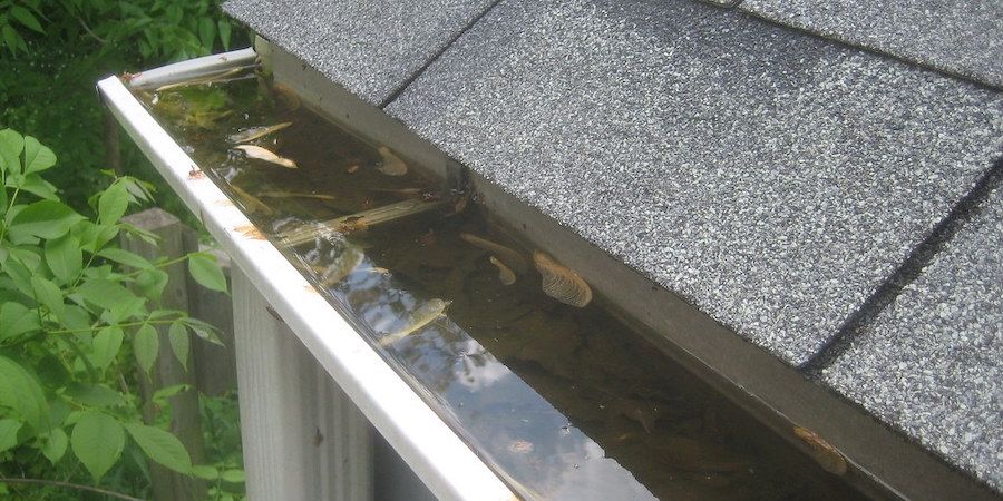 Gutter blocked with water and leaves 