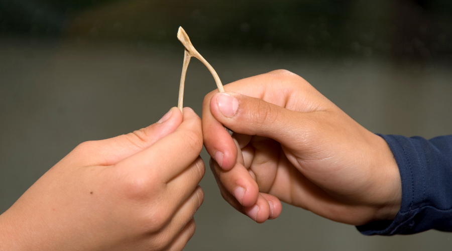 Hands holding a wishbone