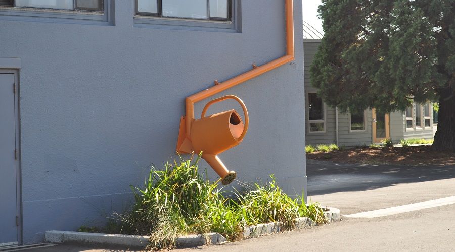 Quirky Watering Spout