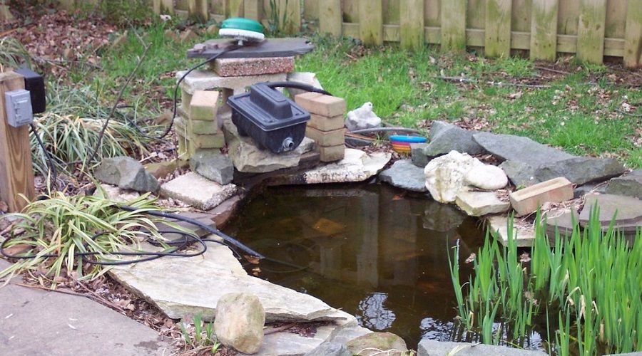 drain your backyard pond