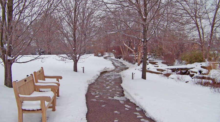 Cleared pathway in snowy terrain