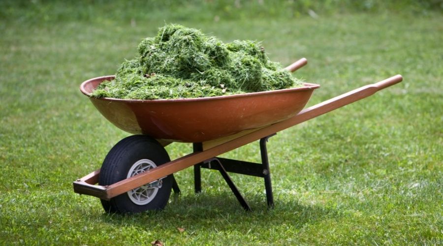wheelbarrow full of grass clippings