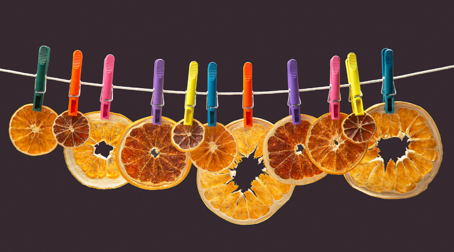 Dried Pieces of Different Citrus Fruits