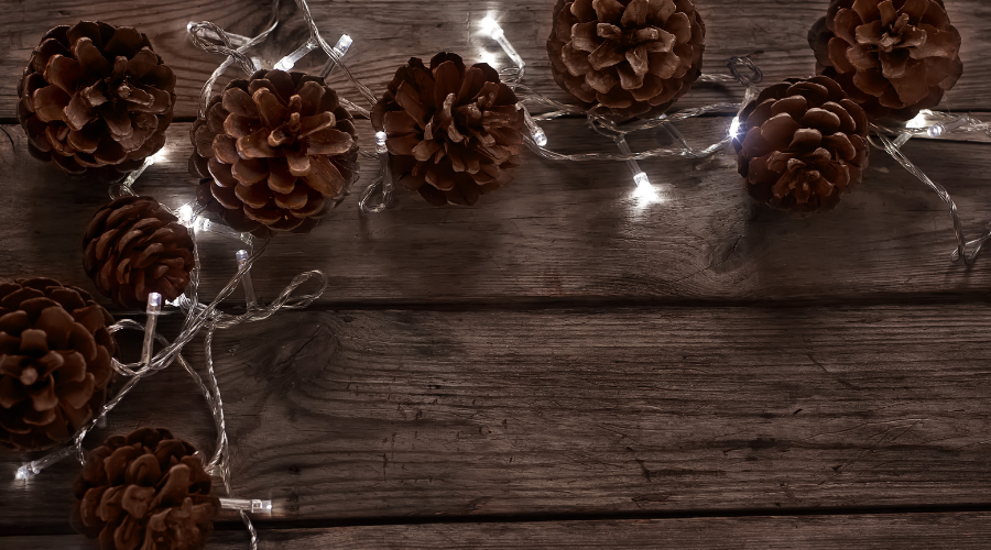 Pine cones and garland background