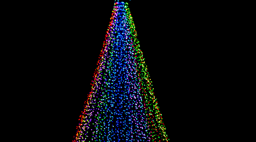 Vibrant Christmas Light Tree in Christmas Light Garden