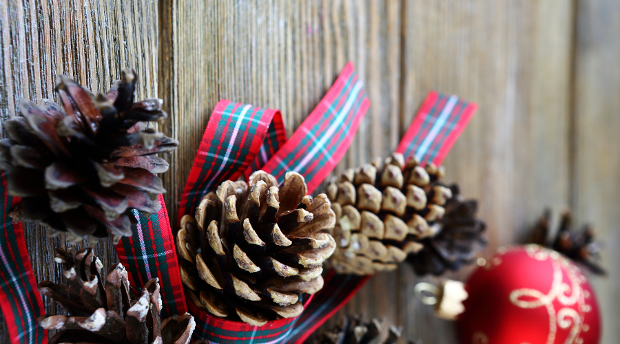Dry Christmas pine cone with a ribbon