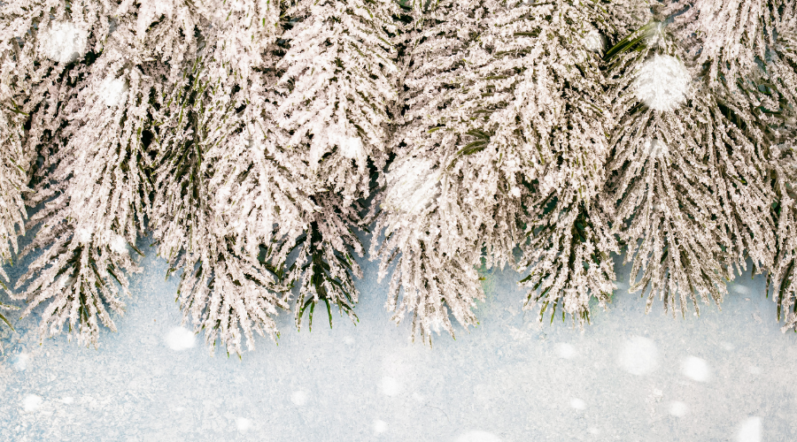Winter fir garland and snow, Christmas background