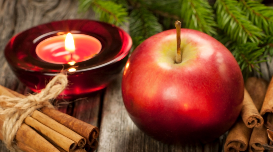 65 Dried Fruit Christmas Decoration Ideas for your Home