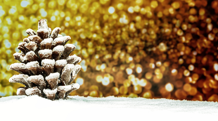 Pinecone with glitter