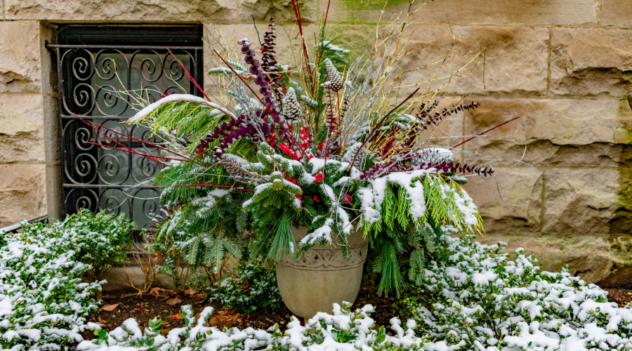 An Outdoor Holiday Planter covered with Snow