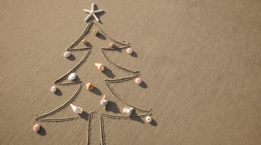 Christmas at the Beach Tree Decorated with Sea Shells
