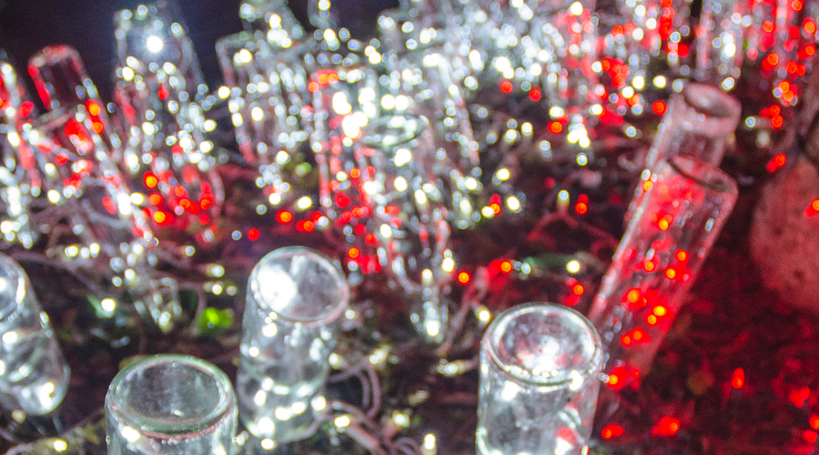 Wine bottles with Christmas Lights
