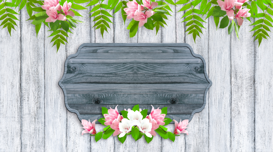 Magnolia flowers with wooden signboard