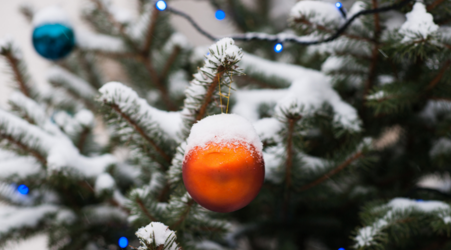 Orange, blue decoration balls on a snow covered spruce tree