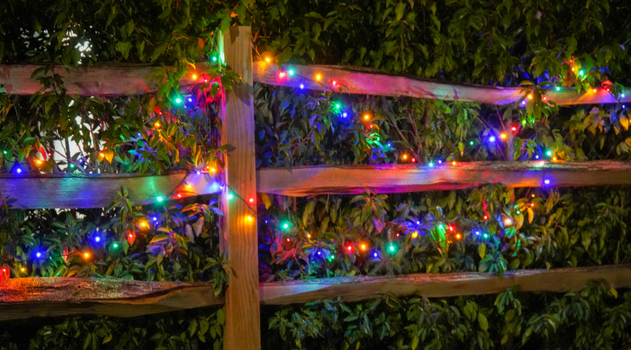 Christmas lights outside on fences and trees