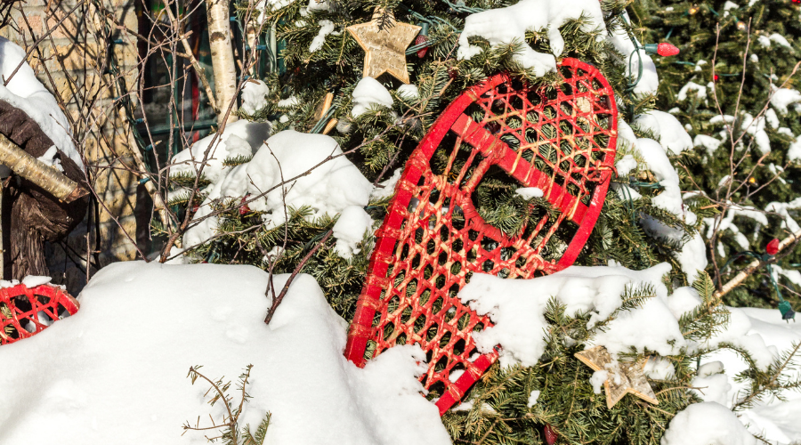 Snowshoe, gift and Christmas tree