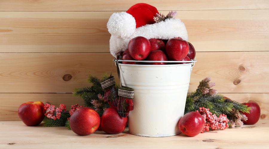 Christmas Apples in a Bucket