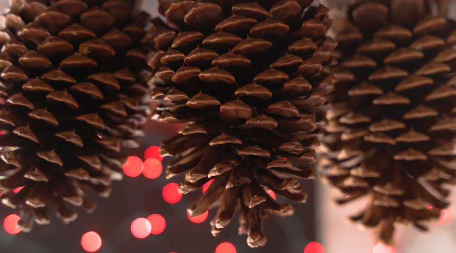 Giant Christmas pinecones