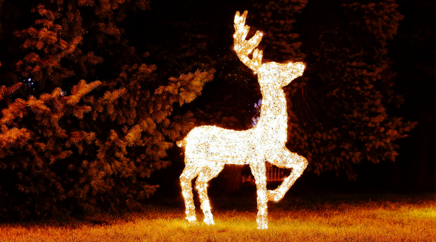 Christmas reindeer (deer with lights) in the garden at night