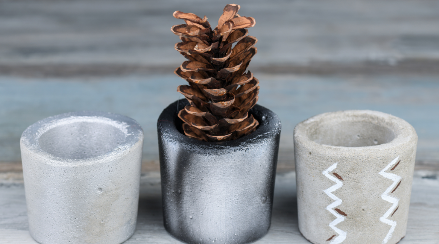 Pine cone in concrete flower pot
