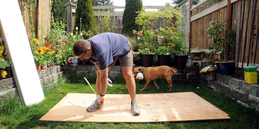 Man and dog cutting plywood in the yard 