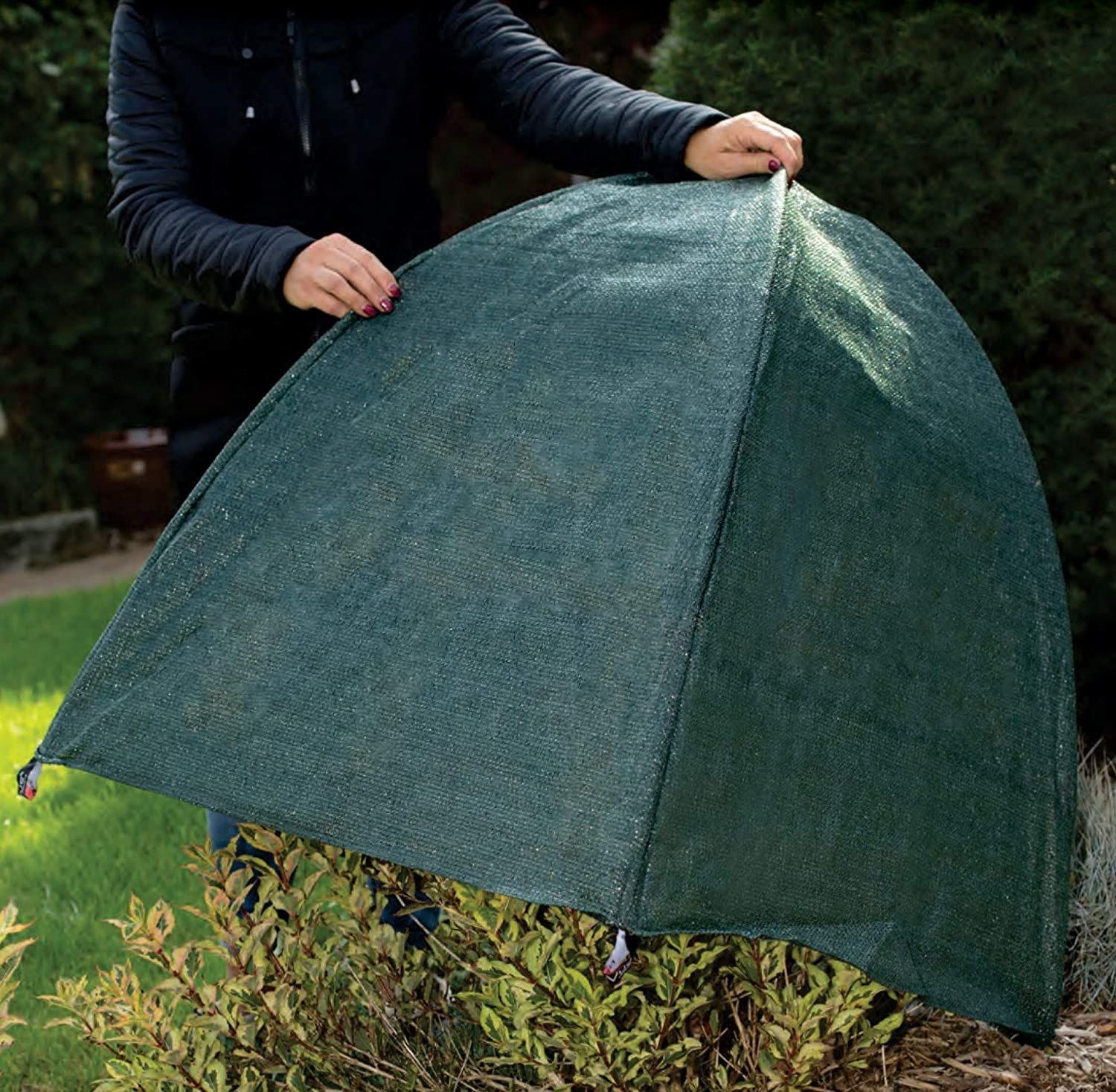 Best Outdoor Winter Plant Covers for Freeze Protection in 2021