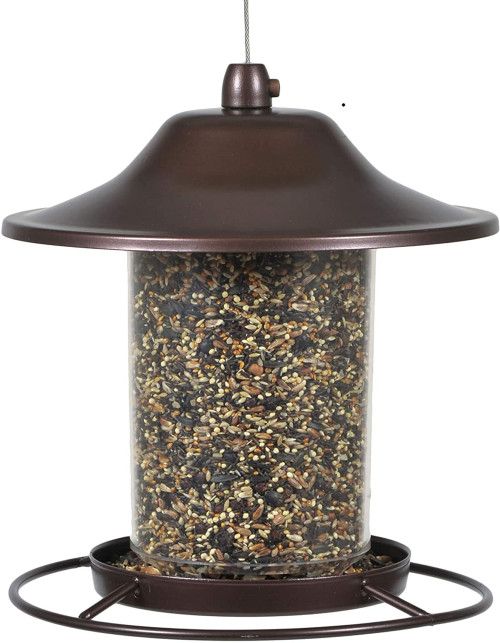 Best Bird Feeder For Winter In