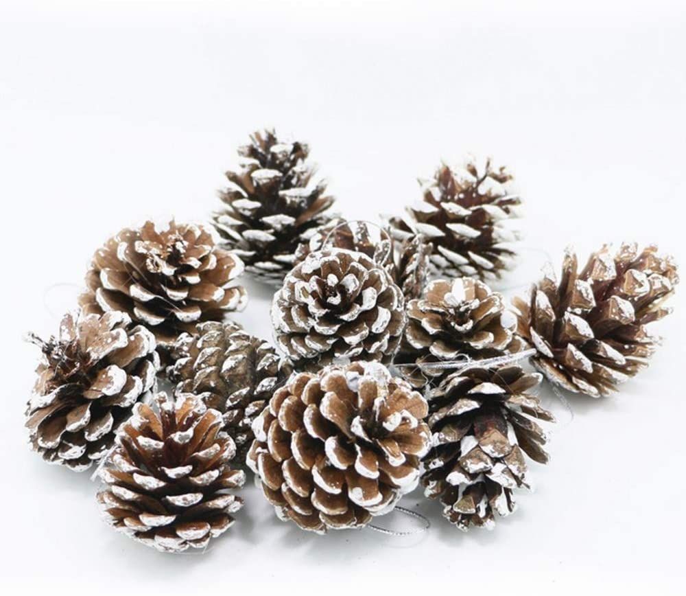 Snow-Tipped Pinecones