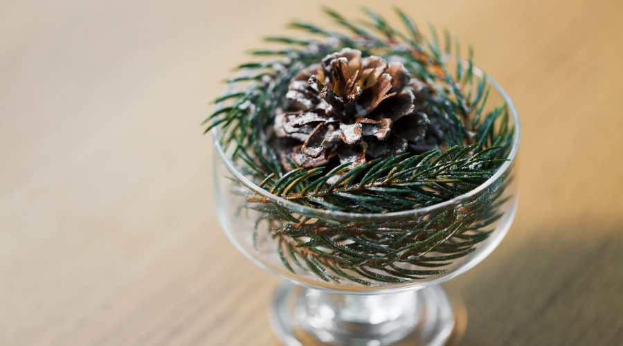 Christmas Fir Decoration with Cone in Dessert Bowl
